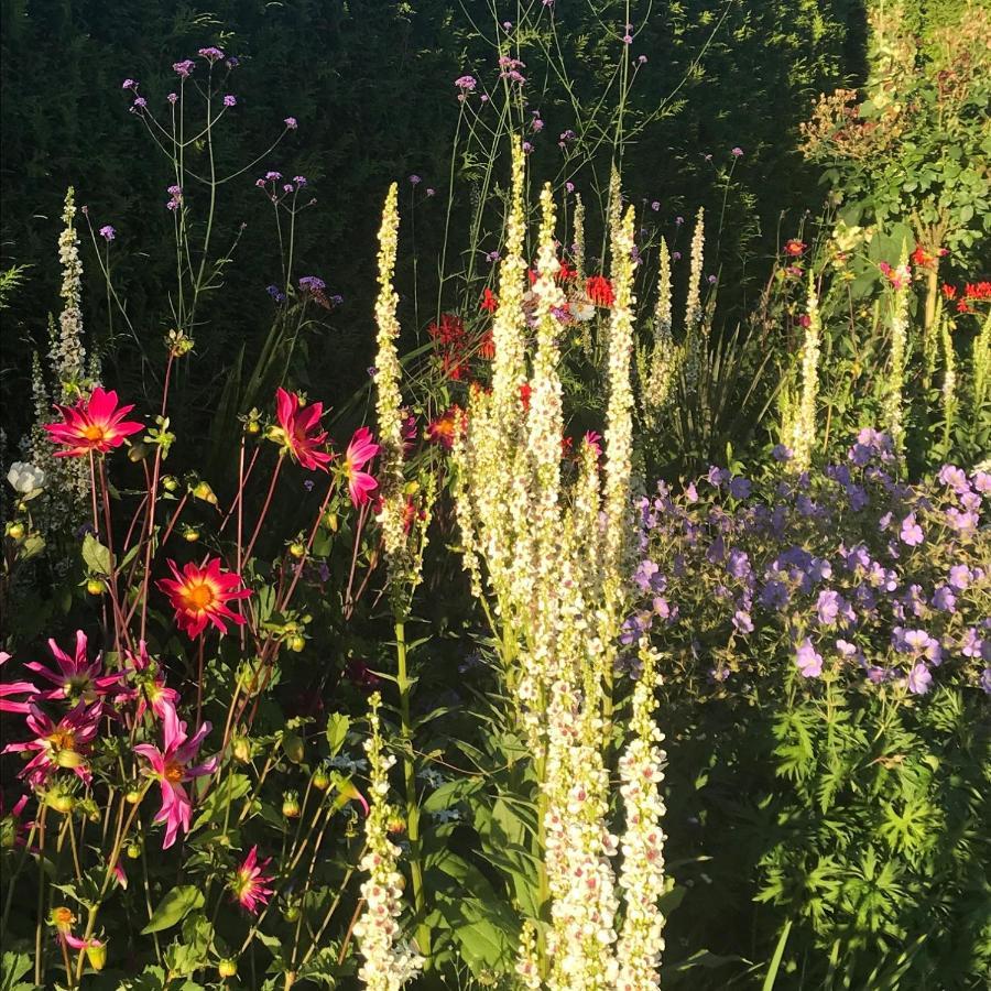 Blaisdon House B&B Longhope Zewnętrze zdjęcie